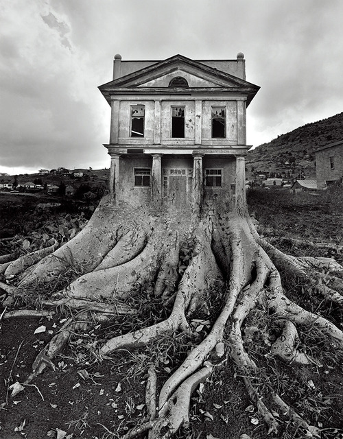 Jerry Uelsmann - Art & Prints for Sale | Artsy