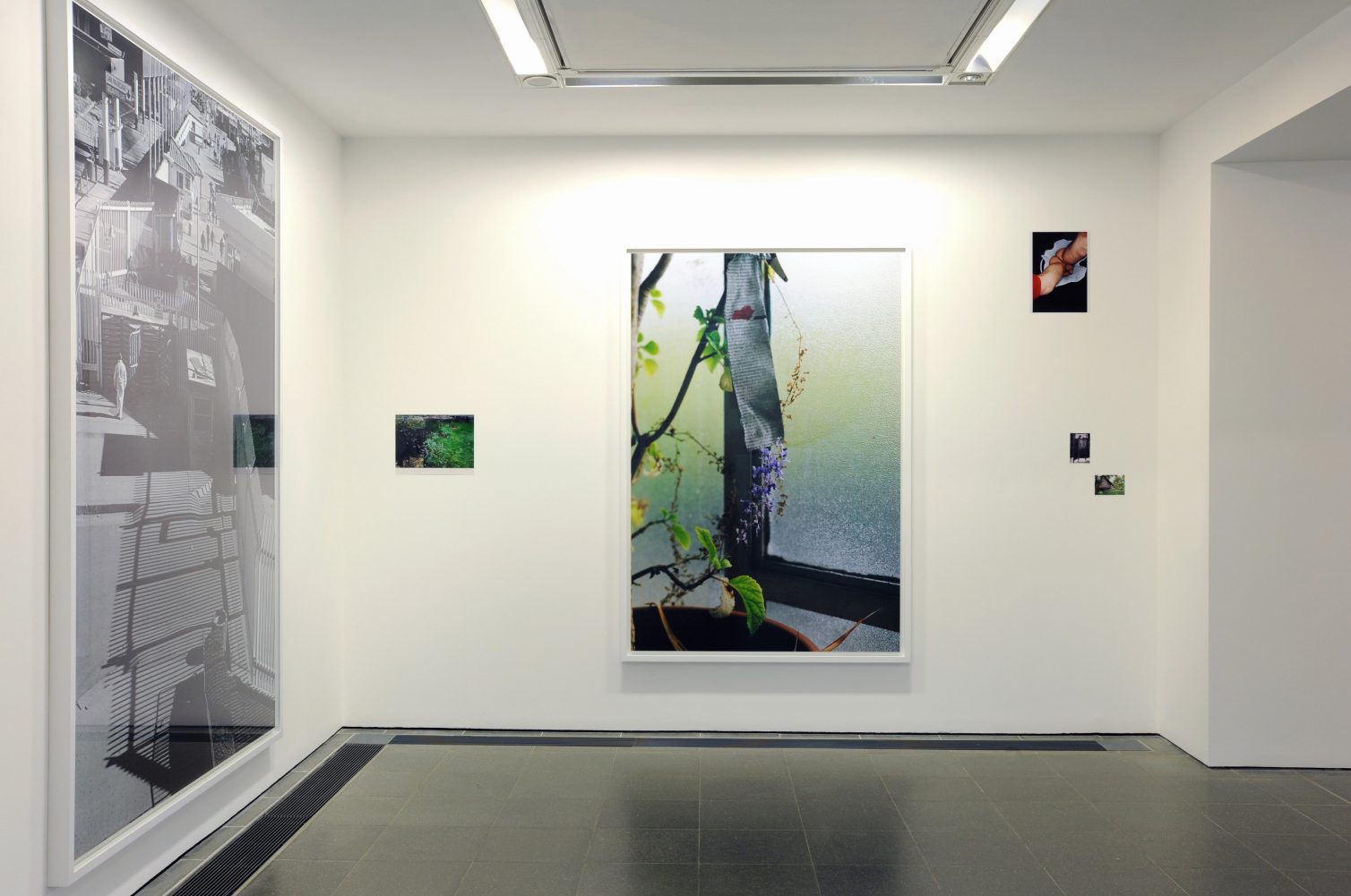 Wolfgang Tillmans - Serpentine Galleries