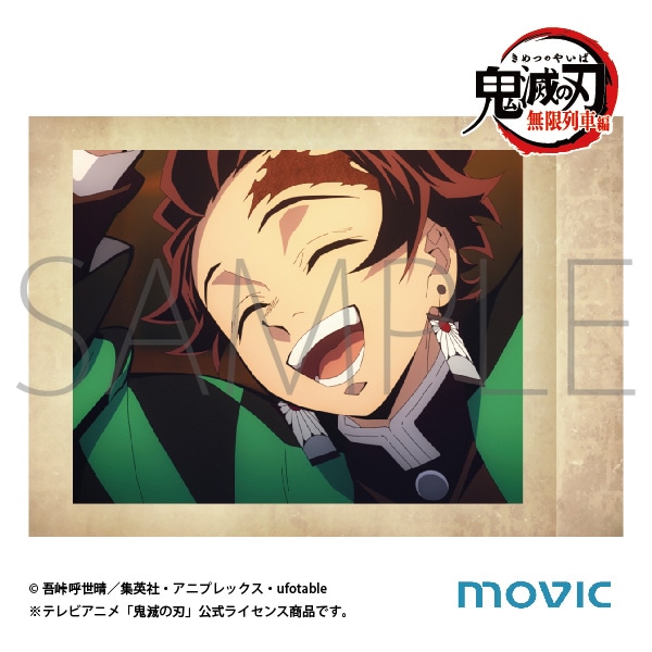 テレビアニメ 「鬼滅の刃」 無限列車編 ぱしゃこれ: トレーディング