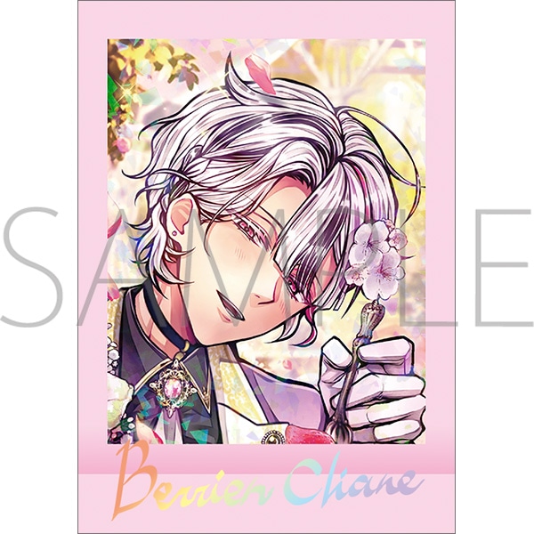 悪魔執事と黒い猫 ぱしゃこれ／PREMIUM vol.2: トレーディングカード