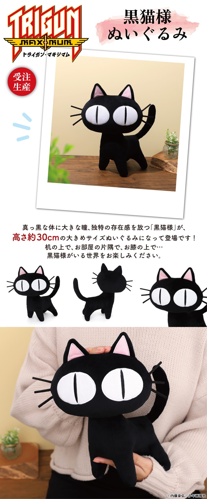 トライガン・マキシマム 黒猫様ぬいぐるみ【受注生産商品】: キャラ