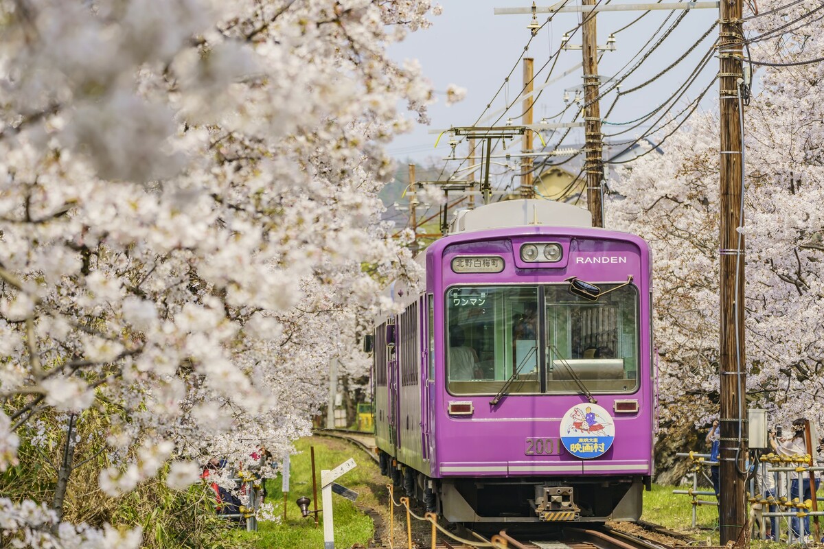 6-12 Years Old] Arashiyama Gurumeguri Coupon + Randen 1-Day Pass