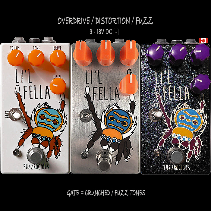 Guitar Pedal X - GPX Blog - Fuzzrocious mashes up its Li'l Fella
