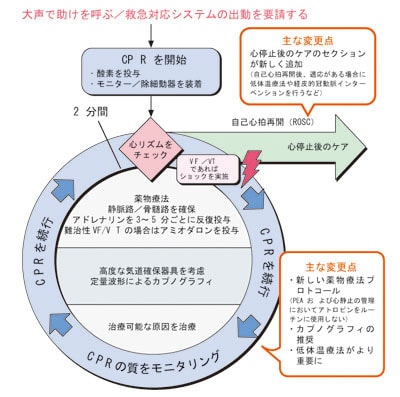 心肺蘇生ガイドライン（ACLS）のポイント | ナース専科