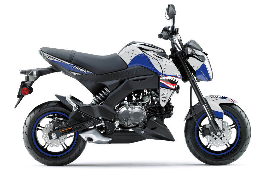 Team Green Z125 Pro (17-25) - DCOR Visuals