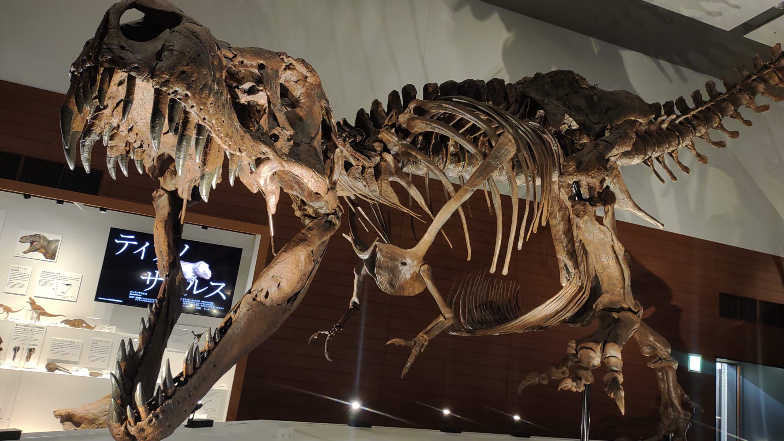 見逃すな！！ DinoScience 恐竜科学博 ~ララミディア大陸の恐竜物語