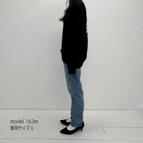 163_sw_L_yoko_550x550.png?v=