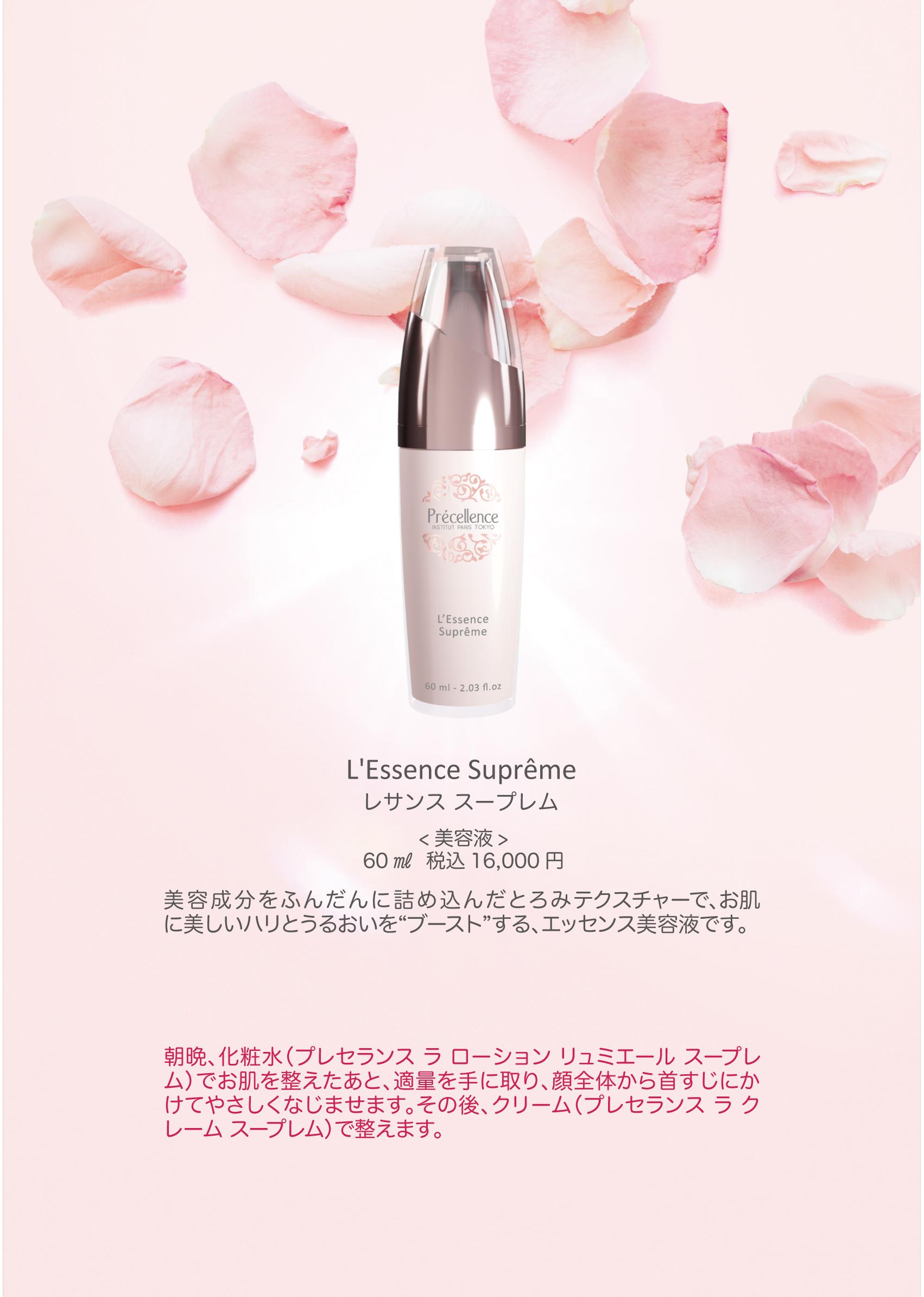 プレセランスパンフレット