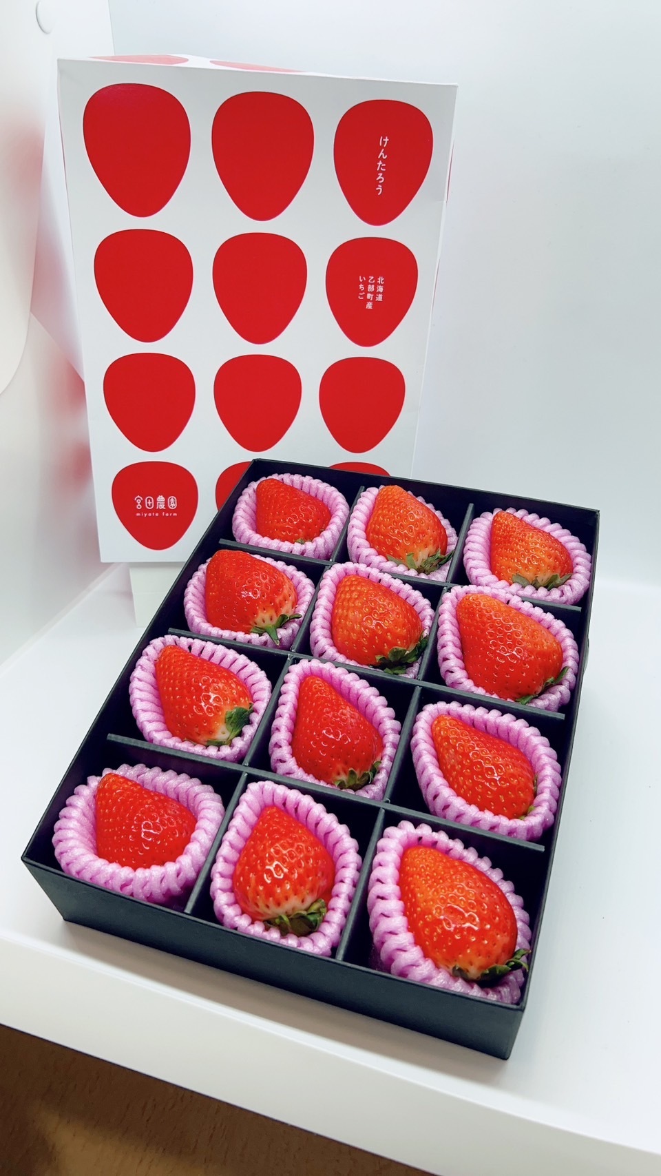 宮田農園のイチゴ｜宮田農園 北海道・乙部町のイチゴ農園
