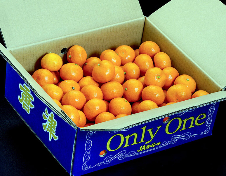 糖度12度以上選別「Only One」佐賀県産 JAからつ みかん 特秀品 約5kg