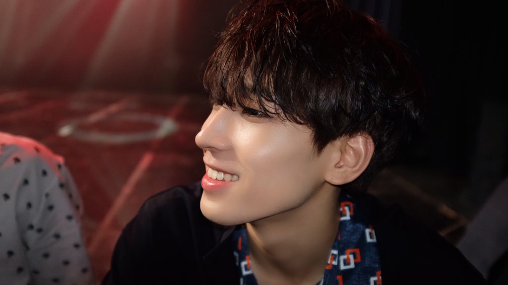 SEVENTEEN(セブチ) ウォヌ、保護猫のためのチャリティーに愛蔵品 出品