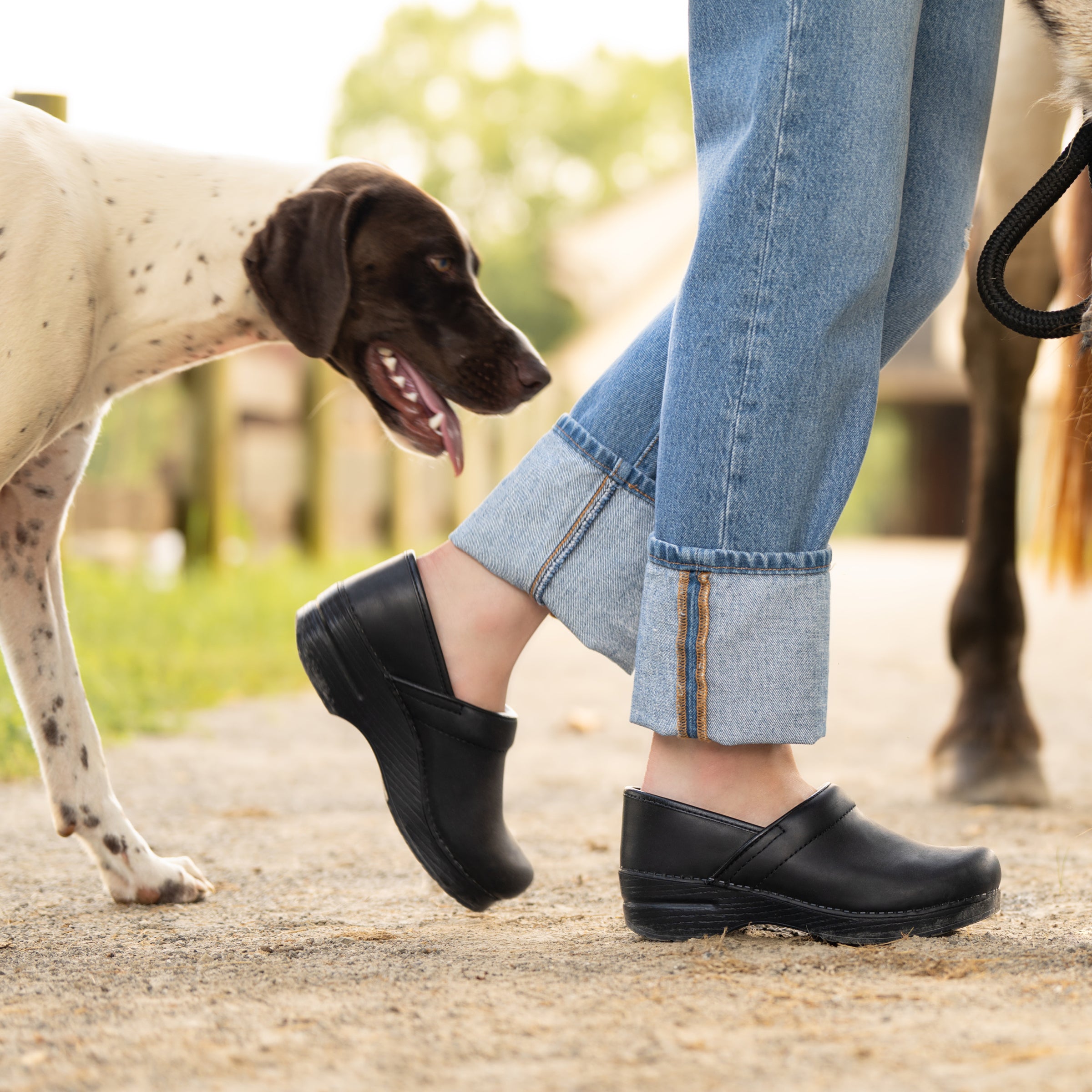 Professional Black Oiled – Dansko