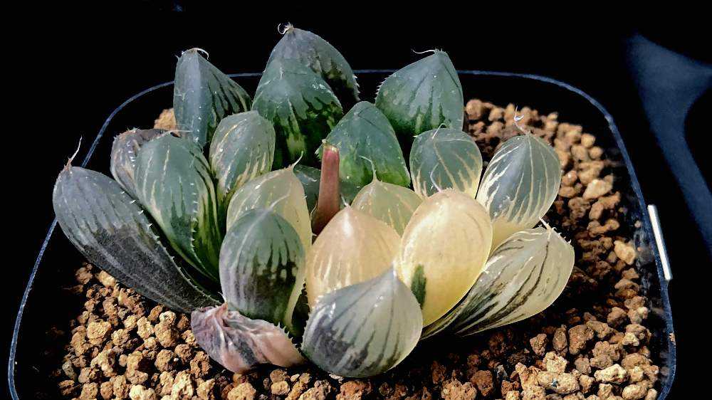 1682283459939_thum_911741_2023