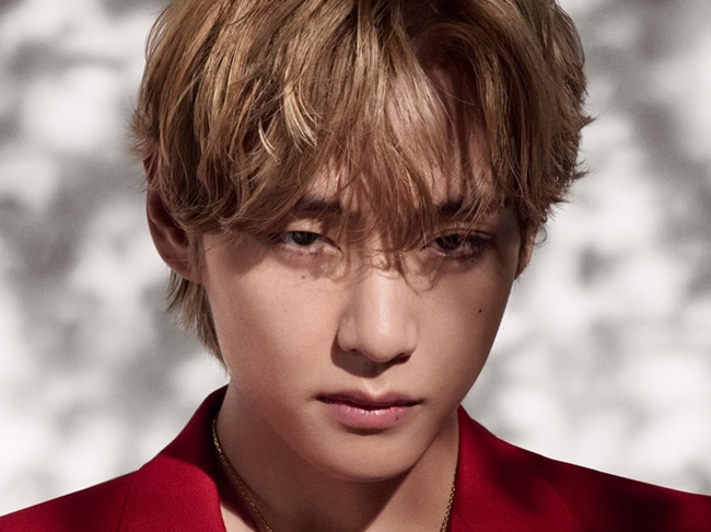 BTS BTS テヒョン テヒョン 公式うちわセット BTS テテ V うちわセット