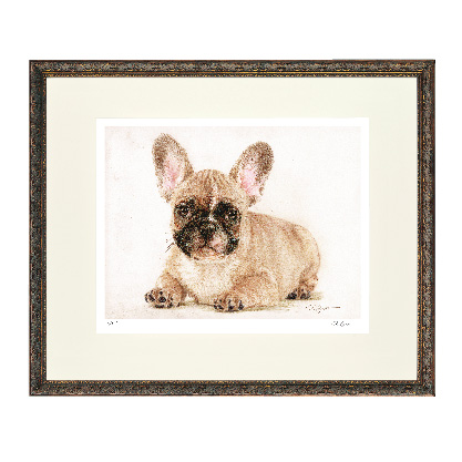 大額オンラインショップ / フレンチブルドッグ