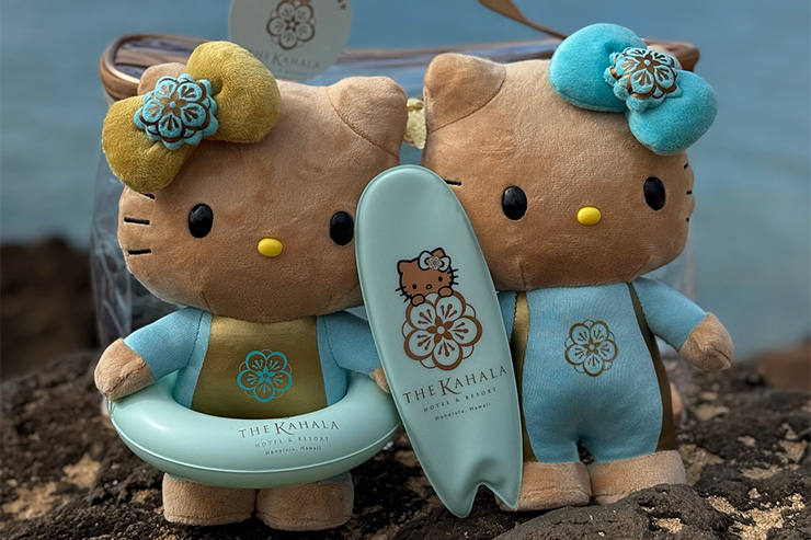 キティ 根付 ハワイ カメ キティ 根付 ハワイ カメ ハローキティ