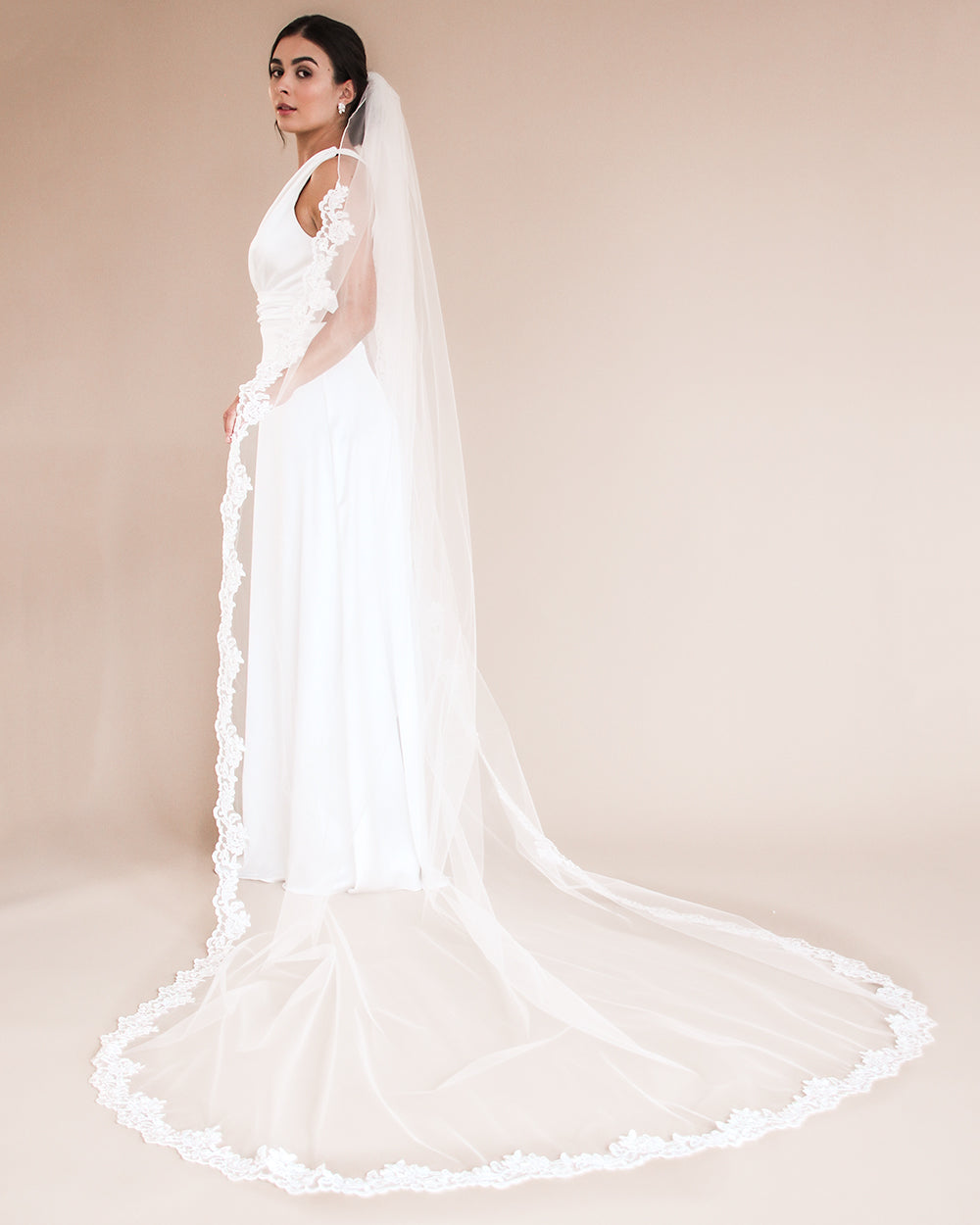 Sasha Lace & Beaded Veil - Shop Wedding Veils | Dareth Colburn
