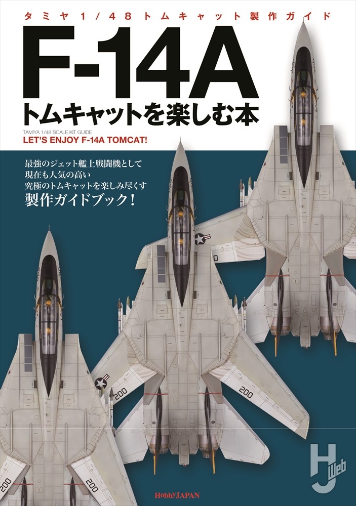 アメリカ海軍グラマンF-14“トムキャット”戦闘機の作例をピックアップ