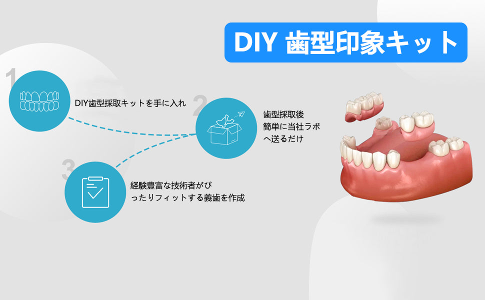 2個入り】部分 入れ歯 カスタム｜Dentellea 自然に見える 義歯｜目立た
