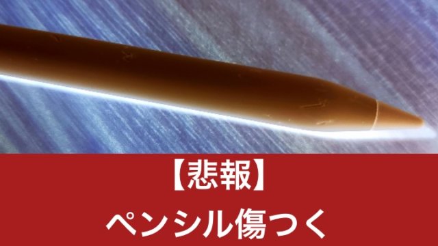 悲報】Apple Pencil第2世代をズタズタに傷つけてしまったのでケースを
