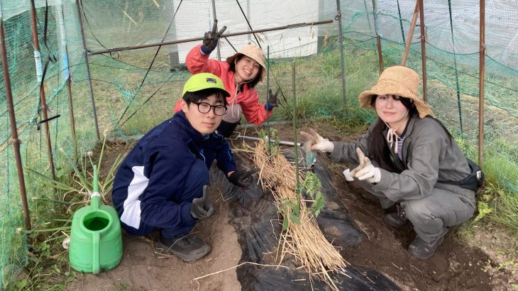 赤本 信州大学 工学部 農学部 理系 前期日程 2013年～2024年 12年分