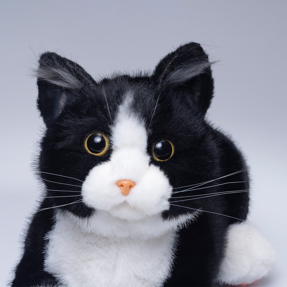 なでなでねこちゃんEX ハチワレちゃん | デアゴスティーニ公式