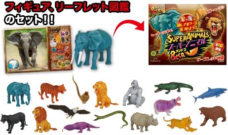 スーパーアニマル＆Co. (アンドコ) | デアゴスティーニ公式