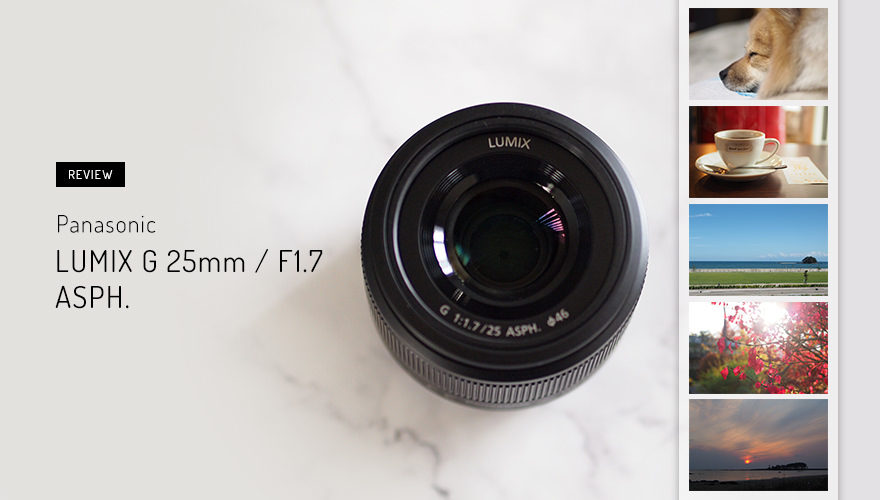 LUMIX G 25mm F1.7【実写レビュー】- 初心者におすすめな単焦点レンズ