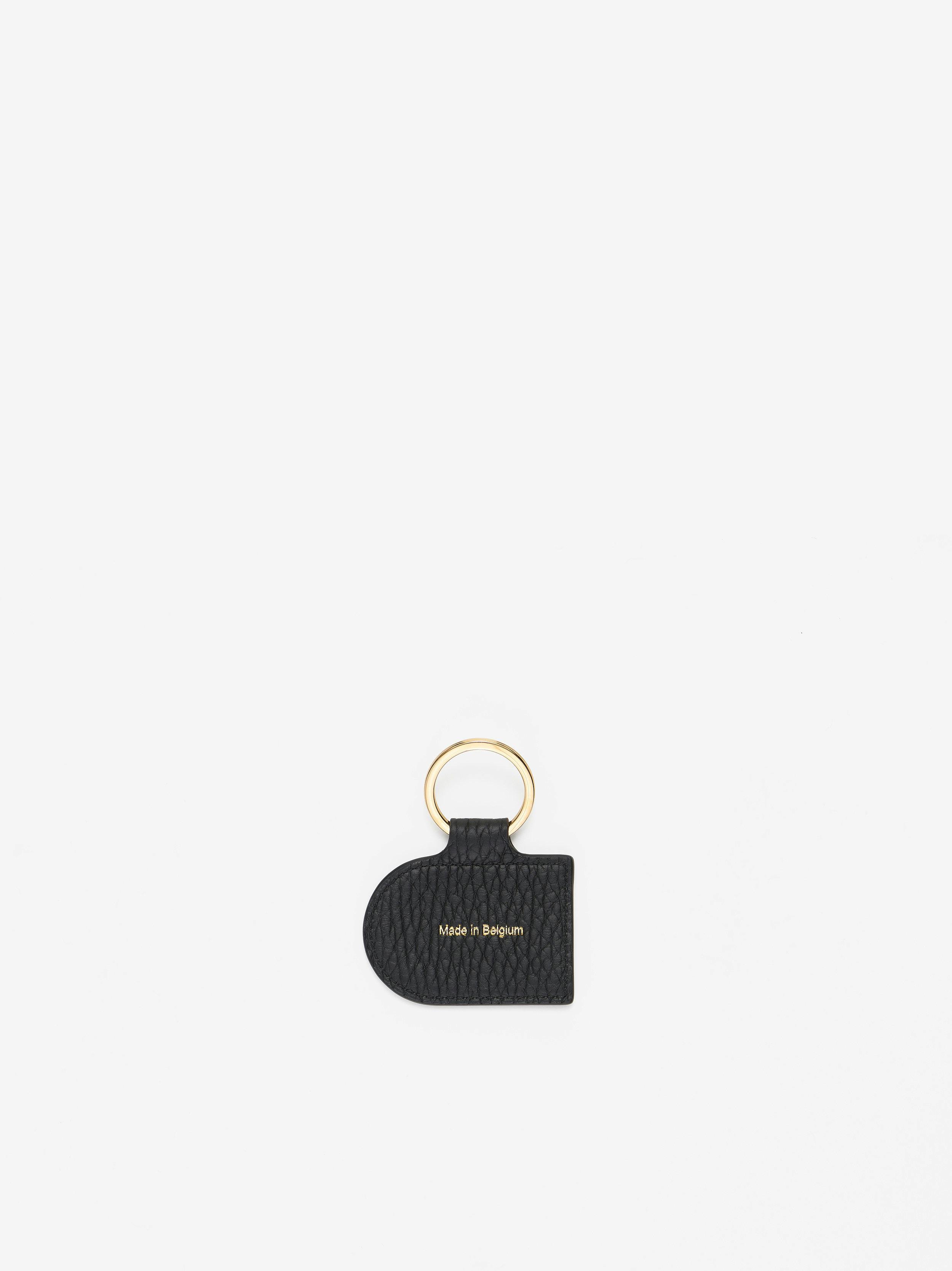 AE0360AQY099ZDO_Pin_D_Key_Ring