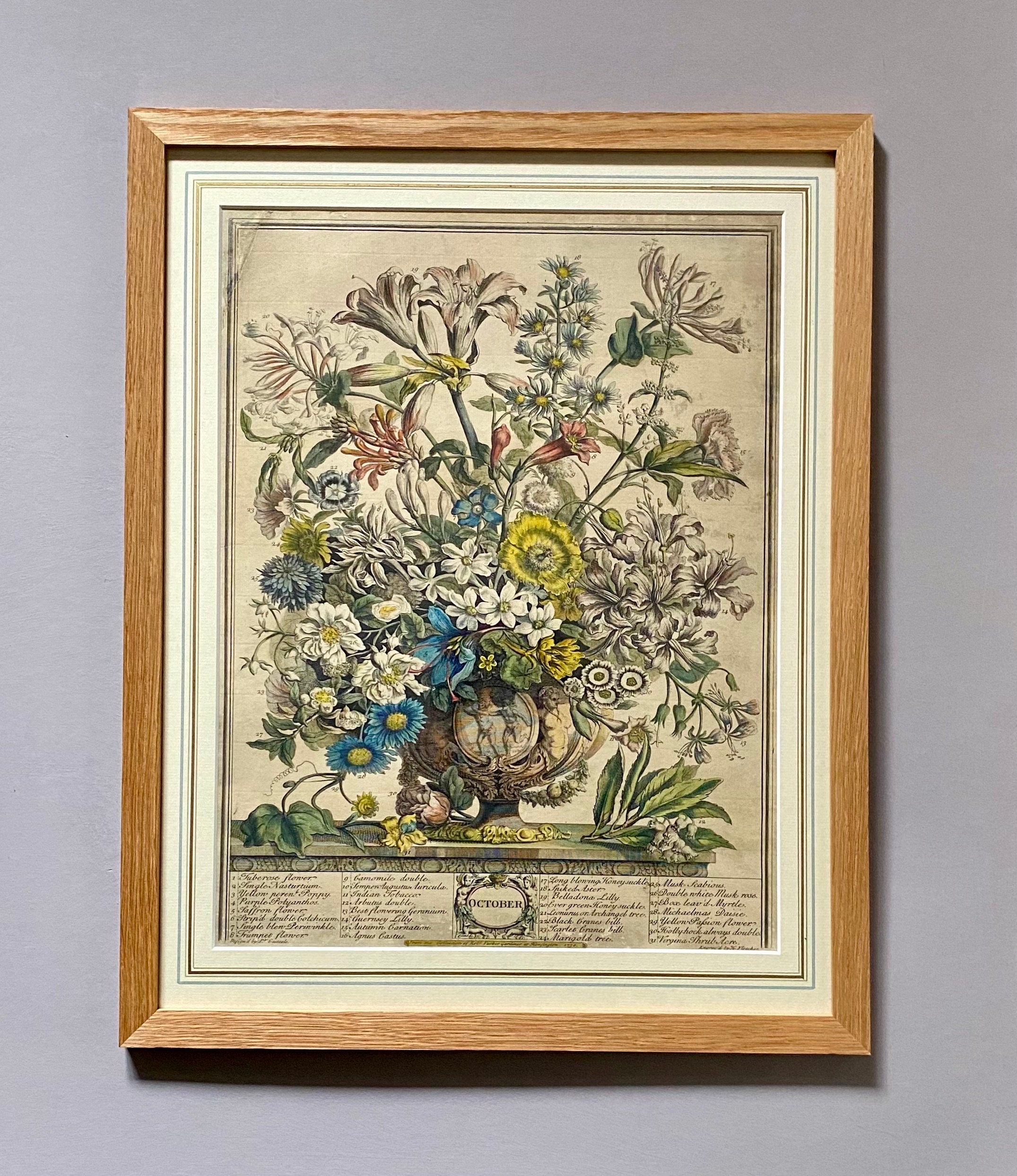 Robert Furber's 12 Months of Flowers. A Rare and genuine Set from