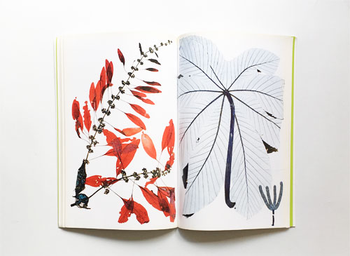 古書古本 dessin：Nick Night: Flora（ニック・ナイト）