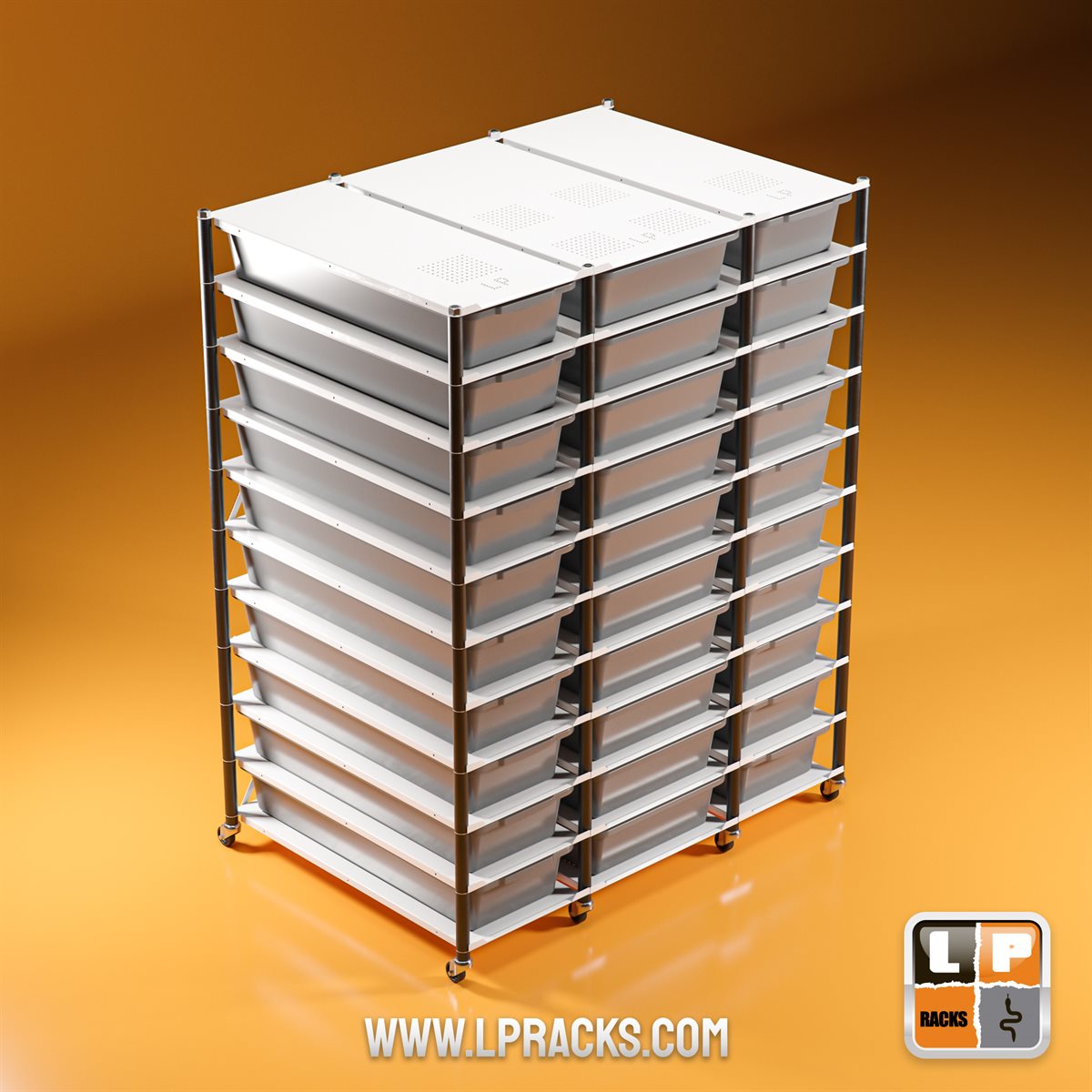 特別価格でご予約は7月6日まで｜ボールパイソンのブリードに最適なLP