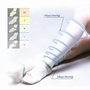 弾性ストッキング レッグサイエンス (販売企業:日本メディカルネクスト
