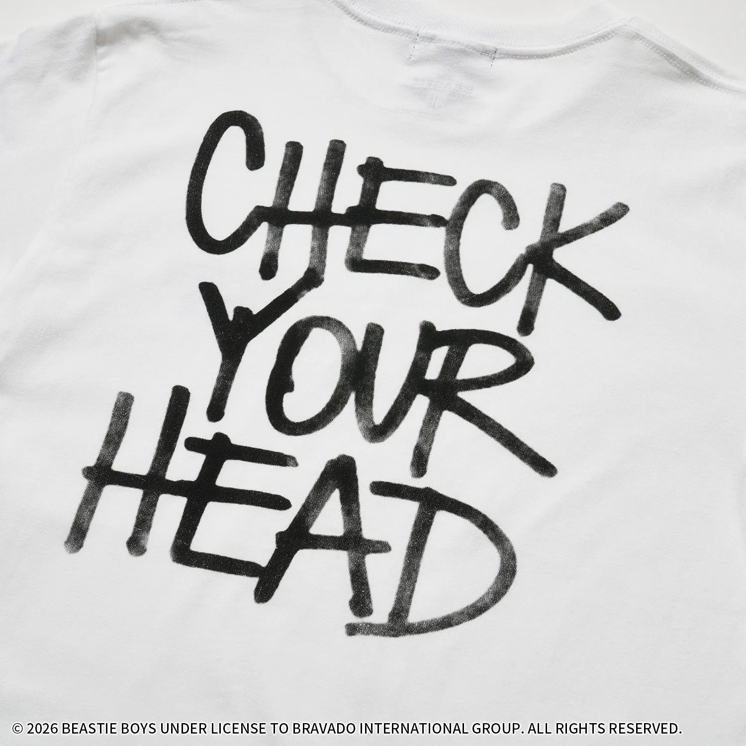 ビースティ・ボーイズ(BEASTIE BOYS)CHECK YOUR HEAD Tシャツ (バック