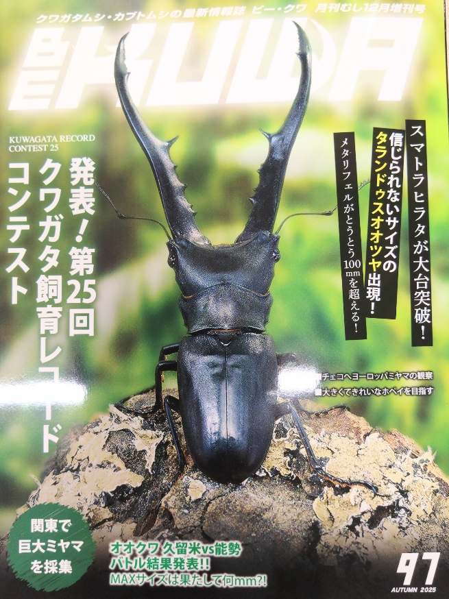 BE-KUWAシリーズ | Dorcusfarm