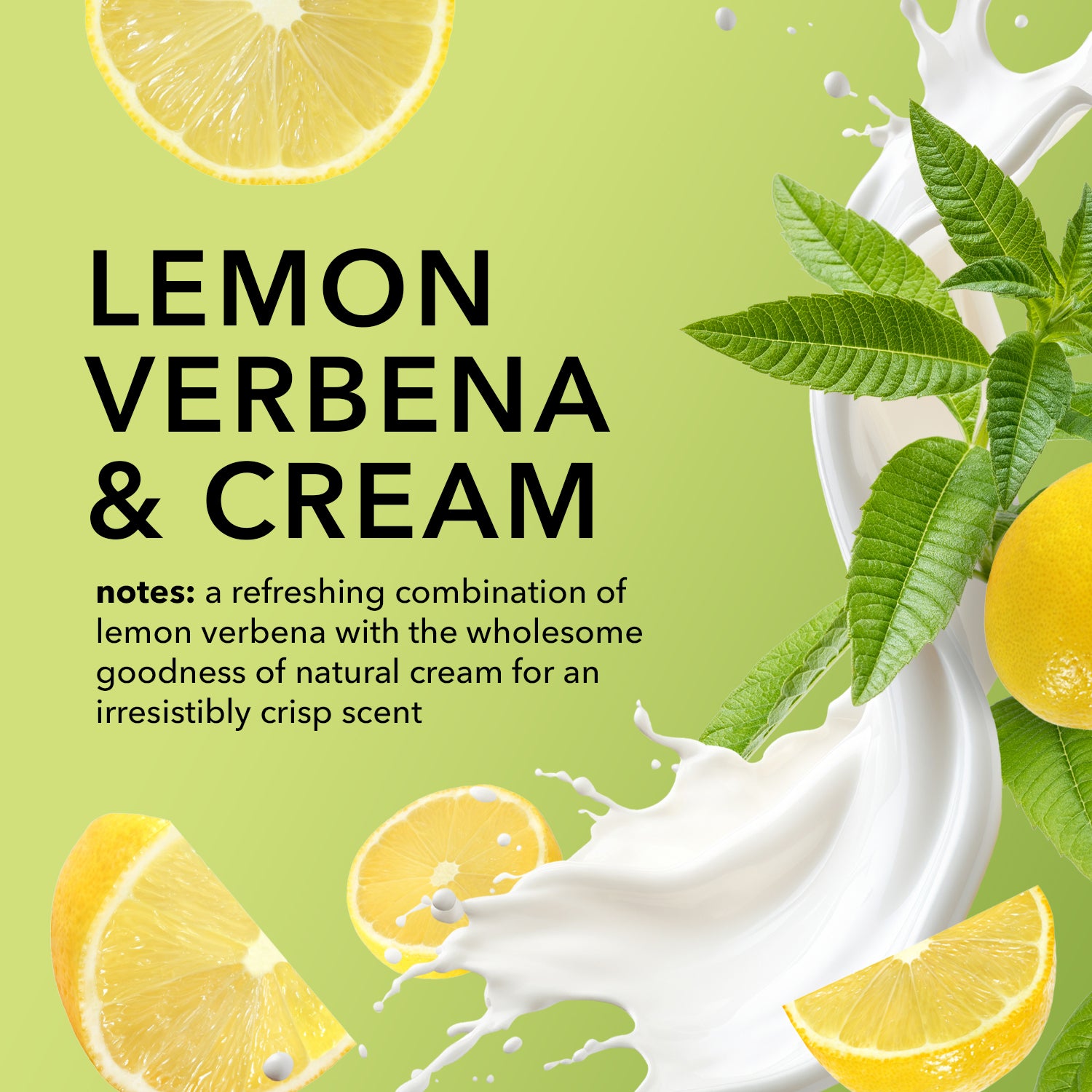 LemonVerbena_notes.jpg?v=