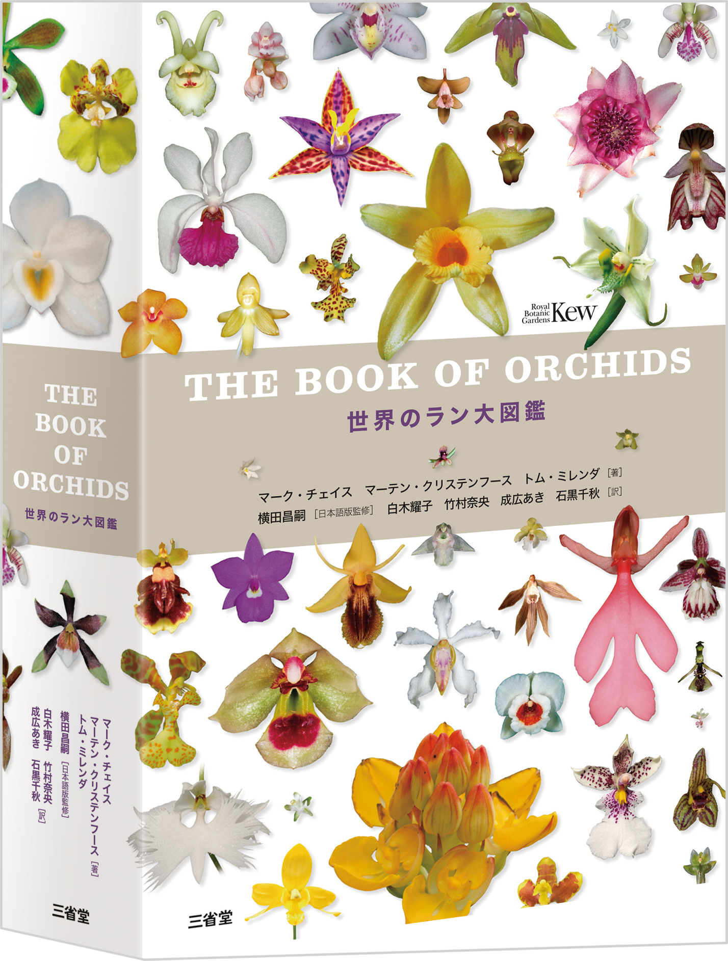 世界のラン大図鑑［事典-図鑑・大全-］｜辞書は三省堂｜#ラン #図解