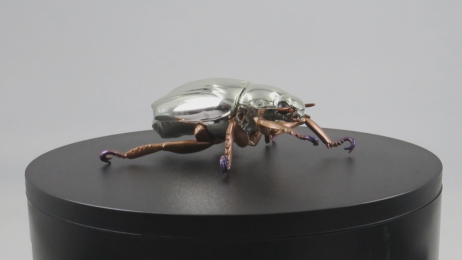 プラチナコガネ(リンバータプラチナコガネ) – DIGBUG