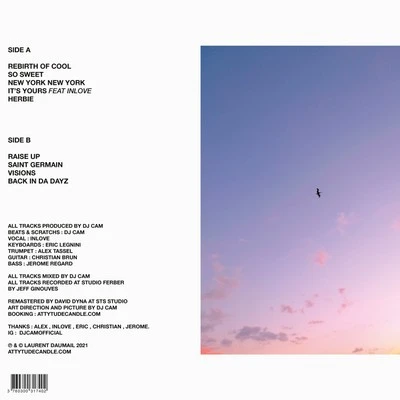 Vinyl - DJ CAM - REBIRTH OF COOL - Diggers Factory