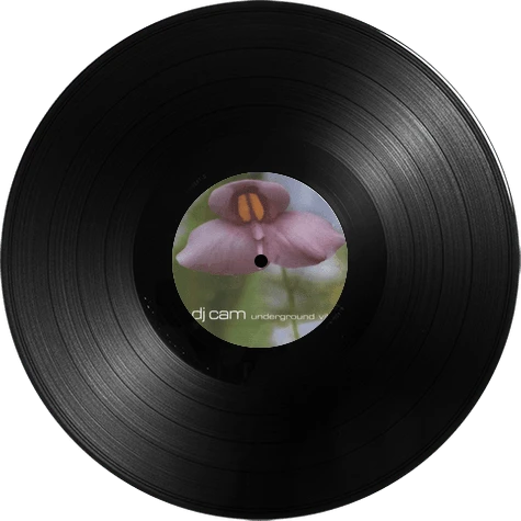 Vinyl - DJ Cam - Underground Vibes - Diggers Factory