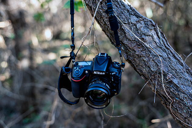 AI AF Nikkor 50mm f/1.4Dを使ってみた – とある私のデジタル一眼レフ