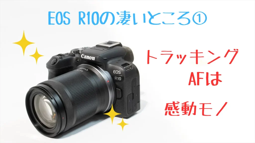 EOS R10の欠点は何ですか？EOS R5ユーザーが本気で回答 | digi-cam.net
