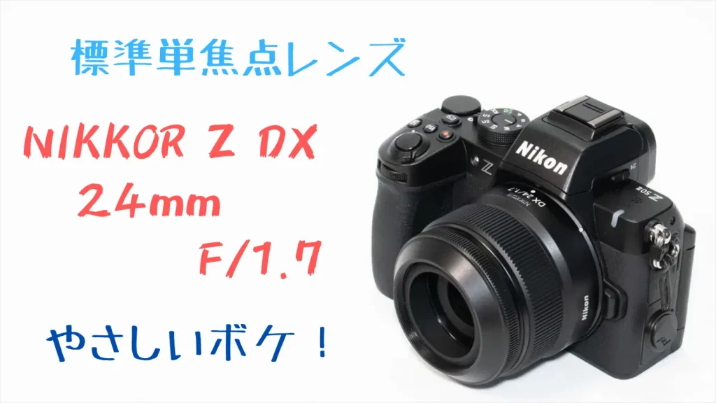 ニコンZ50IIのおすすめレンズ6本紹介！自腹購入＆作例付きレビュー