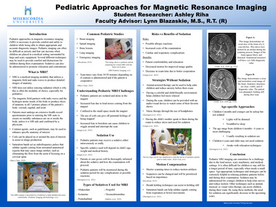 Student Research Poster Presentations 2025 | Student Research