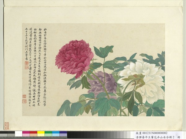 清惲壽平王翬花卉山水合冊冊牡丹- 故宮