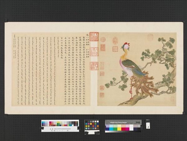 鳥譜（一） 冊鳳- 故宮