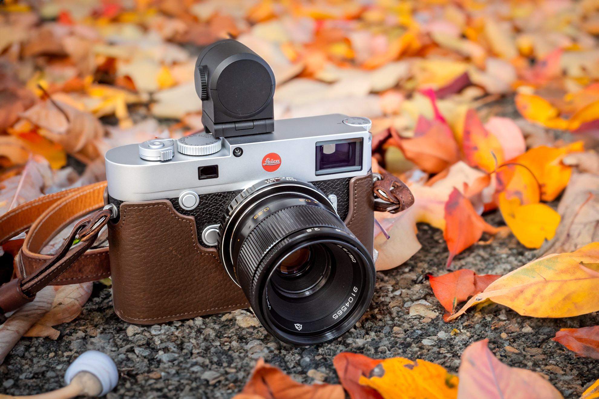 INDUSTAR 61 L/Z-MC 50mm F2.8 ◇レビュー◇ | デジタル試しうち