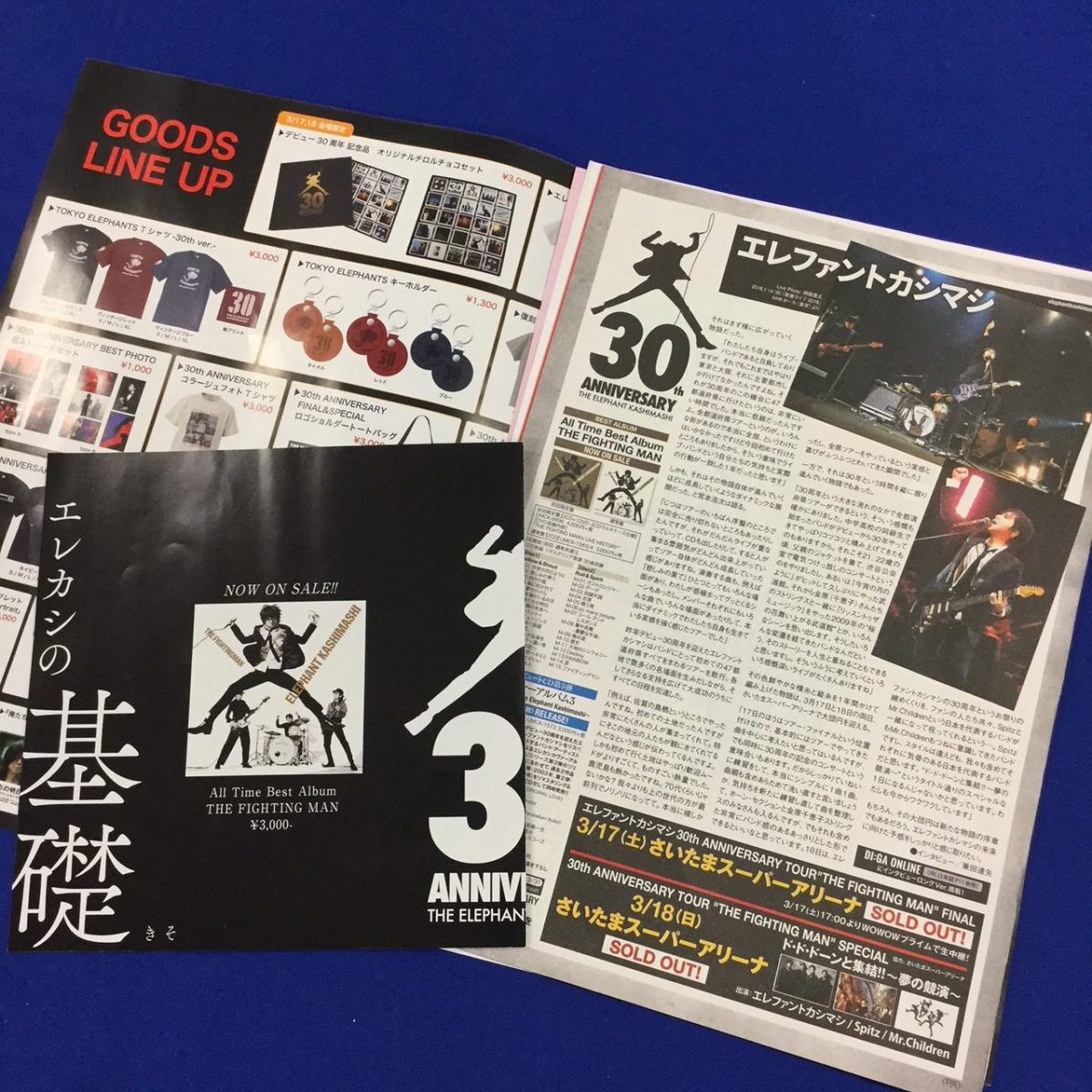 エレファントカシマシ 30th ANNIVERSARY TOUR “THE FIGHTING MAN