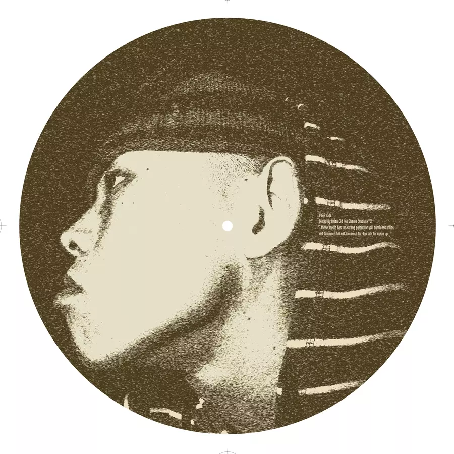 PERFECT PICTURE ZIP EP 