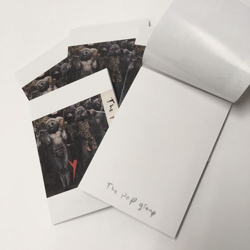 到着♪ THE POP GROUPの歴史的名盤1ST『Y』が未発表音源を追加した40